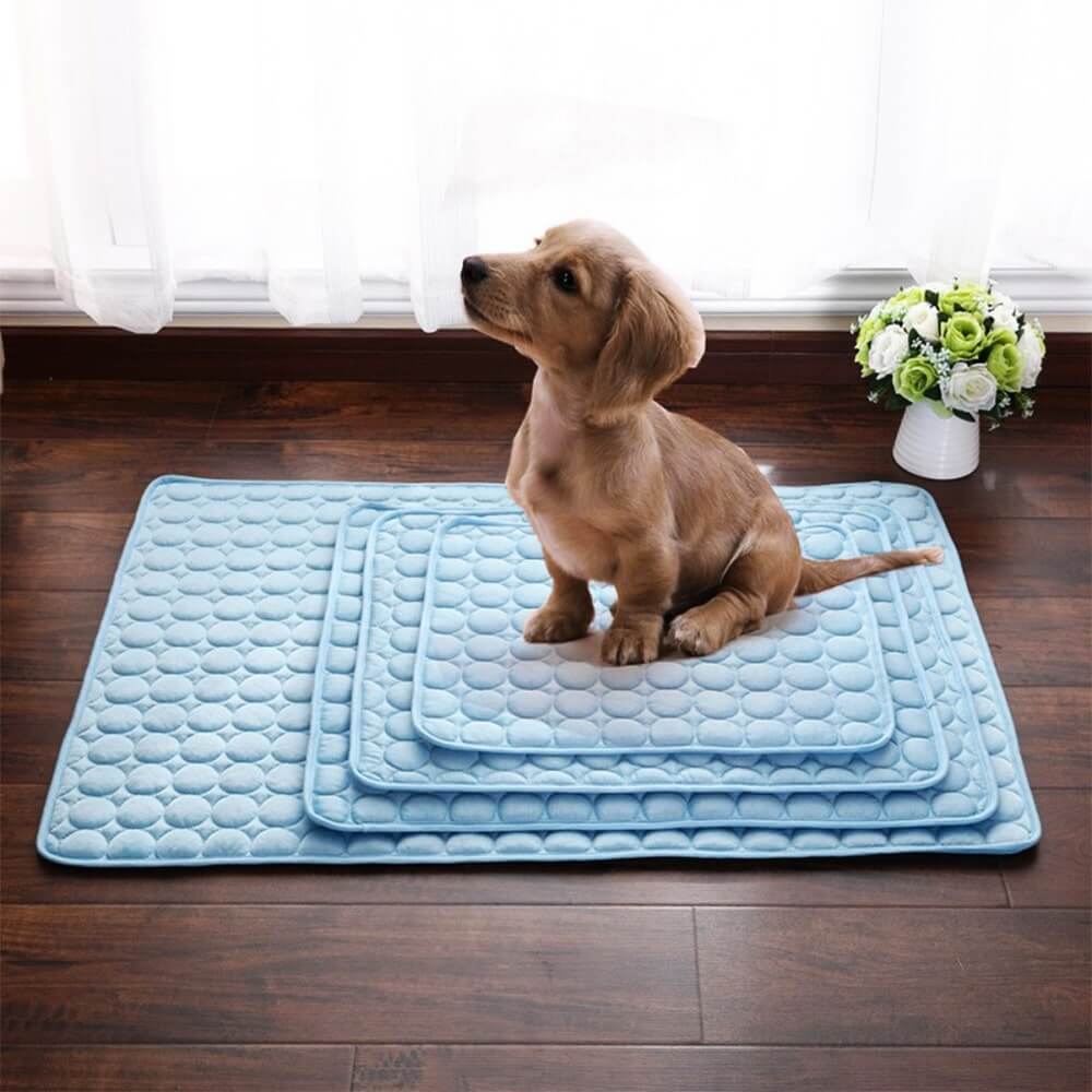 CoolPaws™️ Dog Cooling Mat