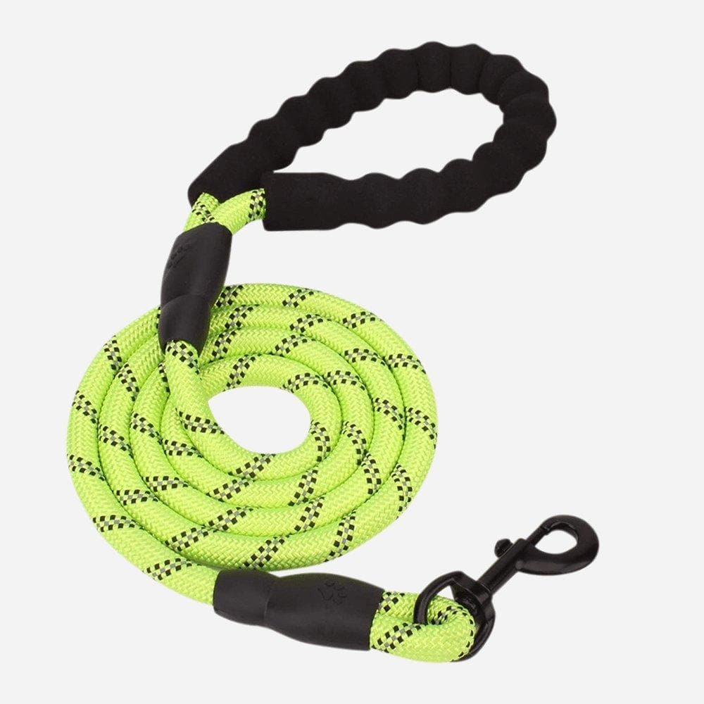 GripLeash Color-Matching Leash
