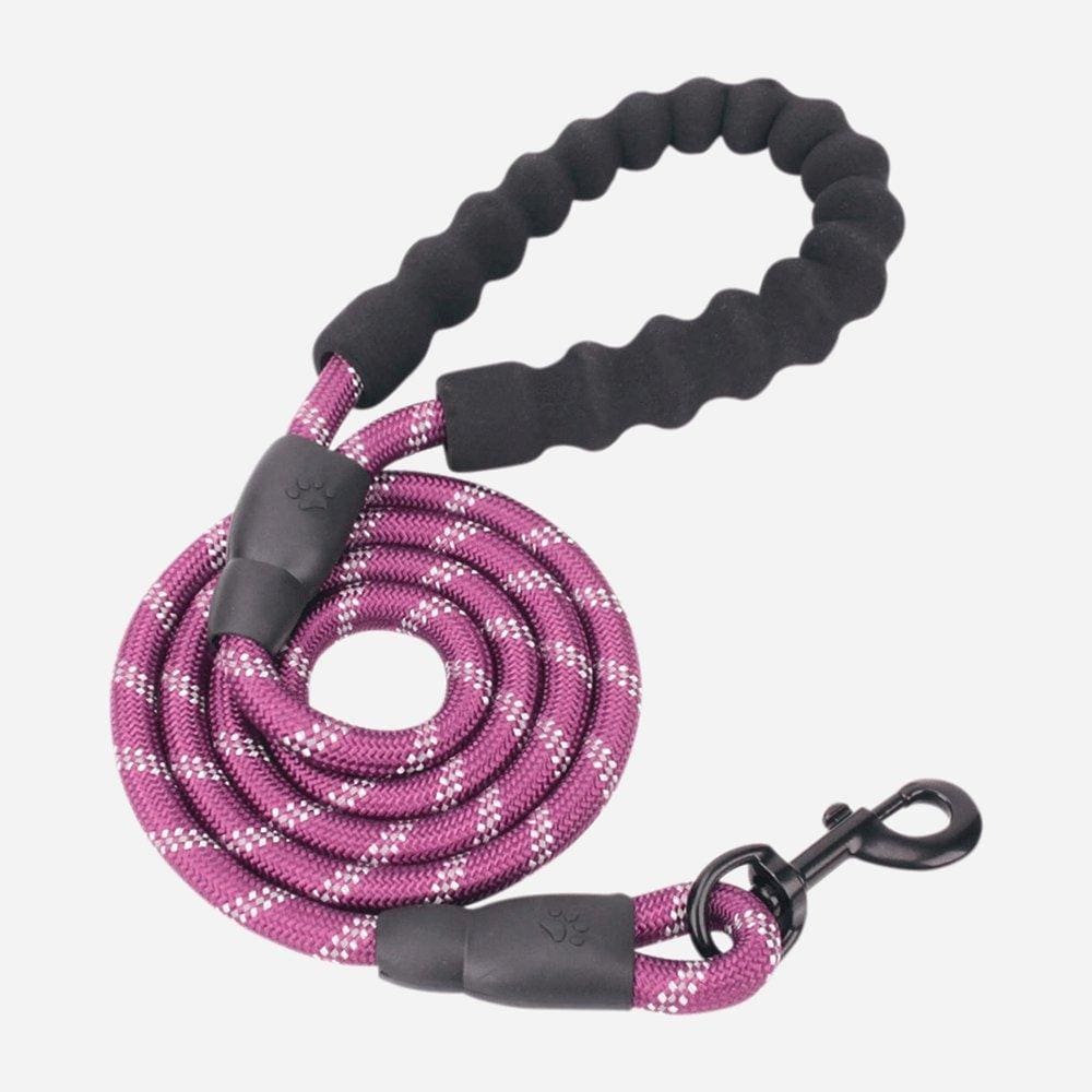 GripLeash Color-Matching Leash