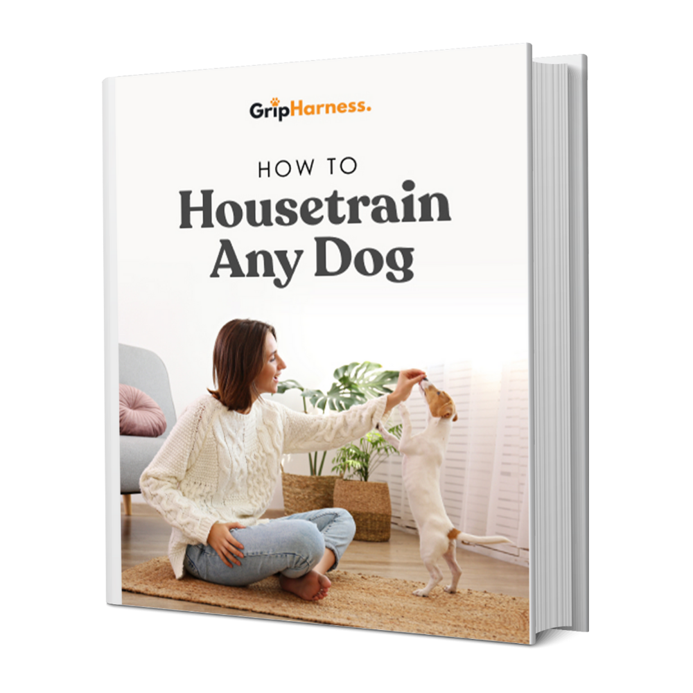 How To Housetrain Any Dog (Ebook - Instant Access)