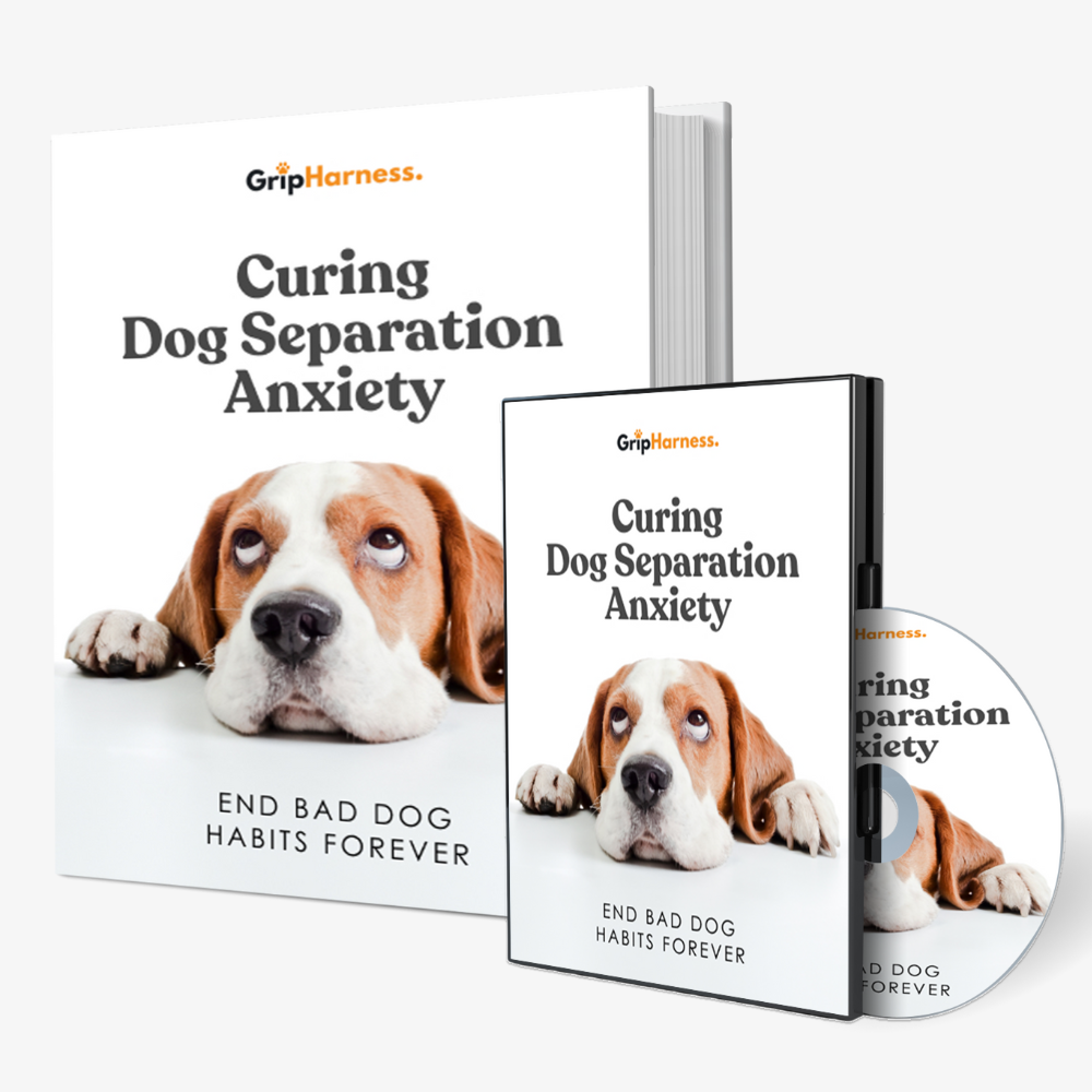 Curing Dog Separation Anxiety (Instant Access - eBook + Audio)